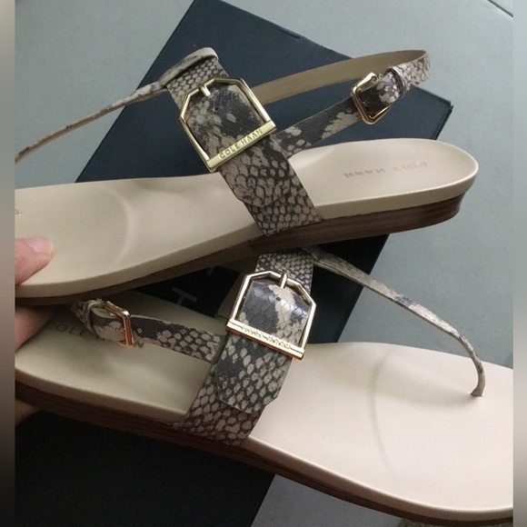 COLE HAAN - Picture 6 of 10